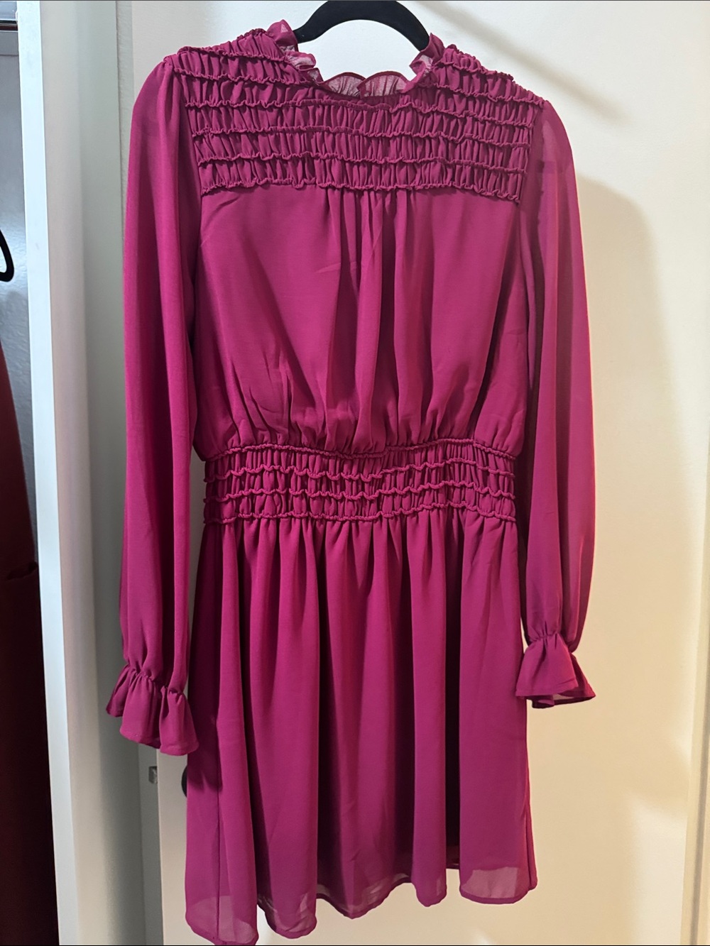 She + Sky Fuchsia Long Sleeve Smocked Waist Mini Dress